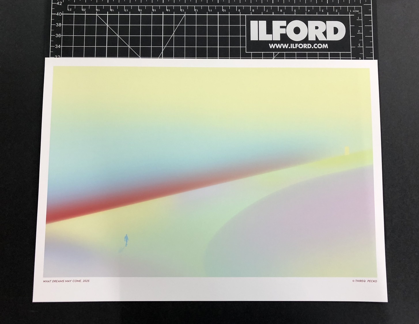 What Dreams May Come - limited edition of 25 (A2) - Image 5