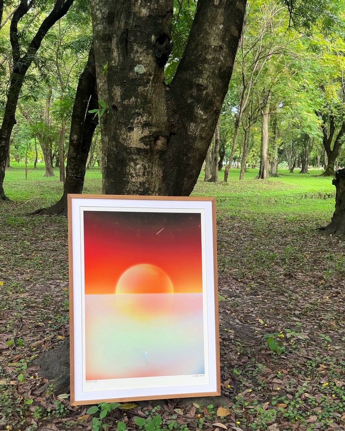 Sunpath - limited edition of 25 (A2) - Image 6